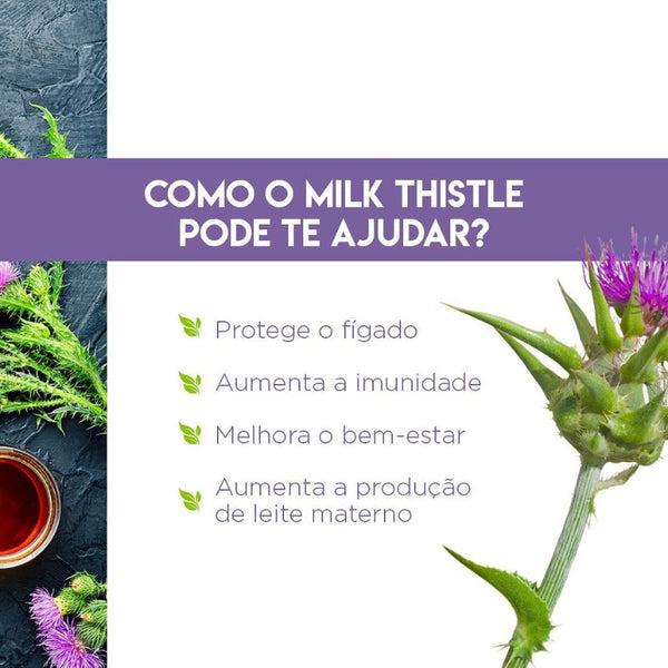 Como o Milk Thistle pode te ajudar?