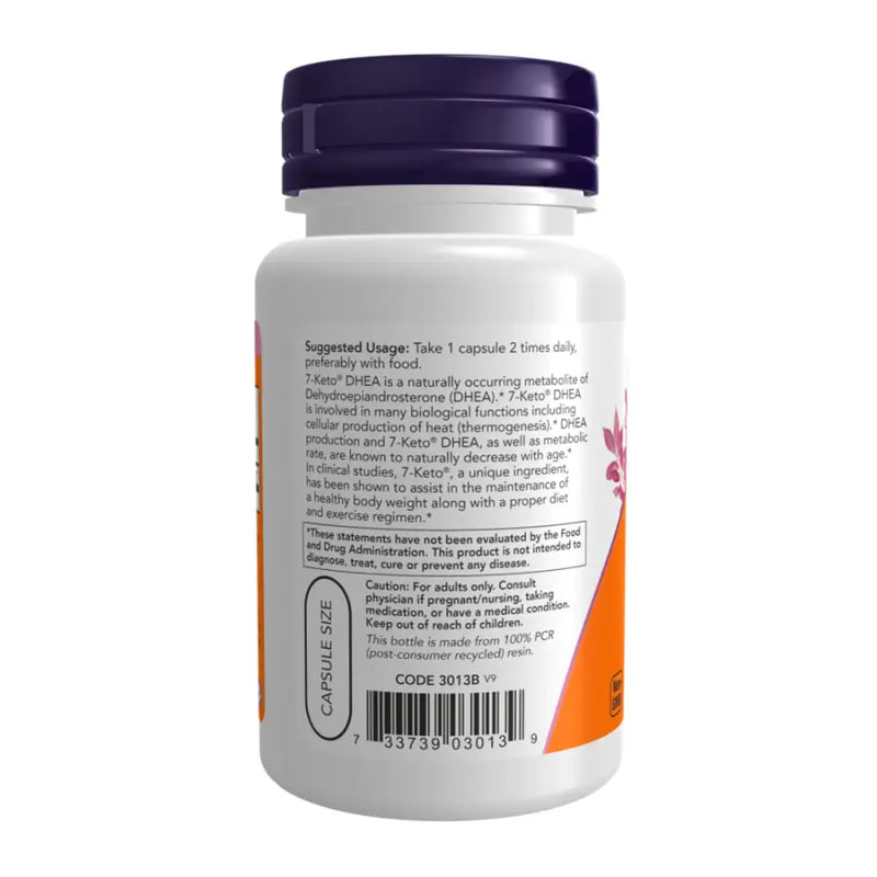 7-Keto DH3EA 100mg (60) - Now Foods