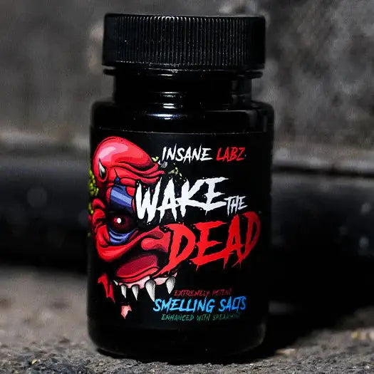 Wake The Dead - Insane Labz